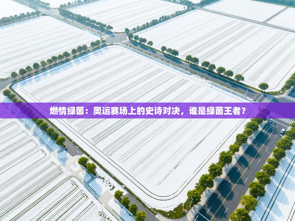 燃情绿茵：奥运赛场上的史诗对决，谁是绿茵王者？  第2张