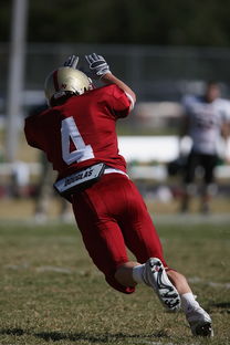 爱游戏体育娱乐-外援适应球队节奏成为成败关键融合度需加强，外援球队球员  第2张